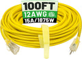 100 ft 12/3 Outdoor Extension Cord